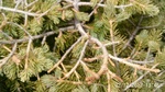 2012-09-27_14-25-54_279.JPG