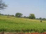 478301052008(55).JPG