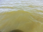 2012-09-21_14-25-51_CIMG0105.JPG