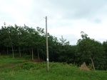 20422P1020279.JPG