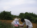 828737-wetlands-seasonal-a.jpg