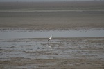 4135IMG_8772.JPG