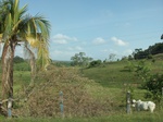 5638100_1075.JPG