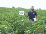 76630382c-rainfed-agriculture-cotton.jpg