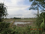 2012-09-26_20-49-54_CIMG1043.JPG