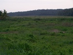 543610052008(57).JPG