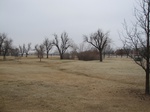 9578IMG_0016.JPG