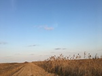 2018-01-08_09-58-51_0620ECB3-6485-4067-AD2D-E83EE62C0599.jpg
