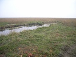 4556RIMG0009-1.JPG