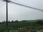 2017-09-10_08-39-46_E388E379-D0FD-4269-8908-69066BD3DE80.jpg