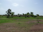 19261P1010107.JPG