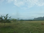 5873100_1562.JPG