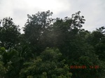 2012-09-26_20-48-22_CIMG1005.JPG