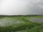2012-09-07_10-16-19_CIMG6698.JPG