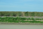 2021-02-02_13-29-40_DSC_0101.JPG
