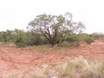 2012-09-02_14-24-00_20120901_01.JPG