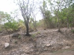 4027RIMG0331.JPG