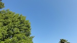 2012-10-16_17-57-35_DSC02977.JPG