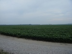 2017-07-10_14-16-20_CoCoRaHS Field Photo Weekend West 7-4-17.JPG