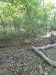 2012-09-24_10-40-19_DSC03126.JPG