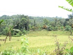 14058IMG_4385.JPG