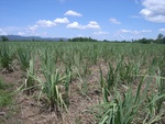 18157Centralthailand-2 (19).JPG