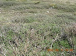 2012-09-27_14-25-44_262.JPG