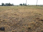 39299WATO20110809E.JPG