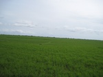 14310IMG_4650.JPG