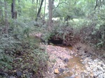 2012-09-03_16-25-15_0903120907a.jpg
