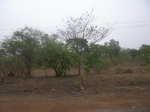 3966RIMG0270.JPG
