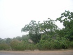 3868RIMG0172.JPG