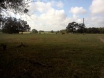 2012-09-03_20-32-44_IMG121.jpeg