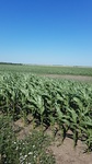 2017-07-06_08-12-43_IMG_20170705_163220.jpg