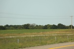 2022-01-19_17-43-48_4E8A3045.JPG