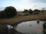 11025gt-106-wetland-water-hole-flood-plain-02.jpg