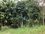 5544100_0927.JPG