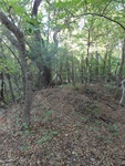 2012-09-24_10-40-21_DSC03090.JPG