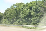 2022-06-11_18-08-04_F068D4A6-77C5-4DAB-A292-31343B9400D5.jpeg