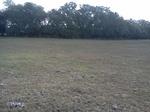 2012-09-03_20-32-44_IMG126.jpeg