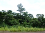 20105P1010956.JPG