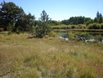 2012-09-16_21-56-28_OR-DS-29-4.JPG