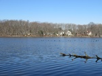 2017-02-23_10-53-48_Feb17-040-NJ.jpg