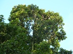2012-10-17_20-32-20_387.JPG