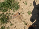 2017-02-02_10-25-22_DSCN0311.JPG