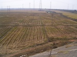 3205R0017239.JPG