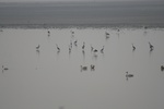 4181IMG_8819.JPG