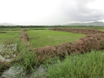 2012-09-07_10-16-23_CIMG6693.JPG