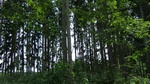 2016-07-27_09-26-04_DSCF1886.JPG