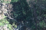 2025-07-15_15-21-21_325174D5-ED2E-4553-838F-EF920A84D8EA.jpeg